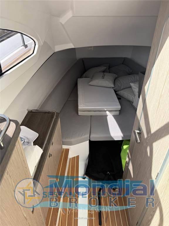 Salpa 33 soleil Gommone