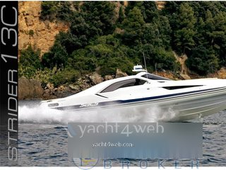 Sacs Strider 13 coupe'