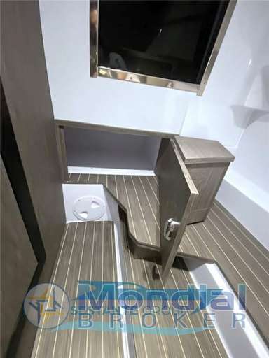 Ranieri international Ranieri international Cayman 28 Executive