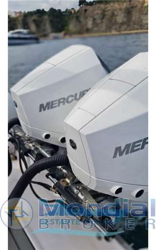 Ranieri international Ranieri international Cayman 28 Executive