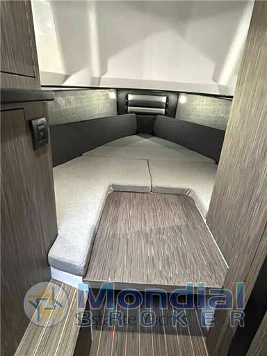 Ranieri international Ranieri international Cayman 35 Excutive