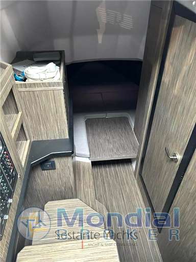 Ranieri international Ranieri international Cayman 35 Excutive