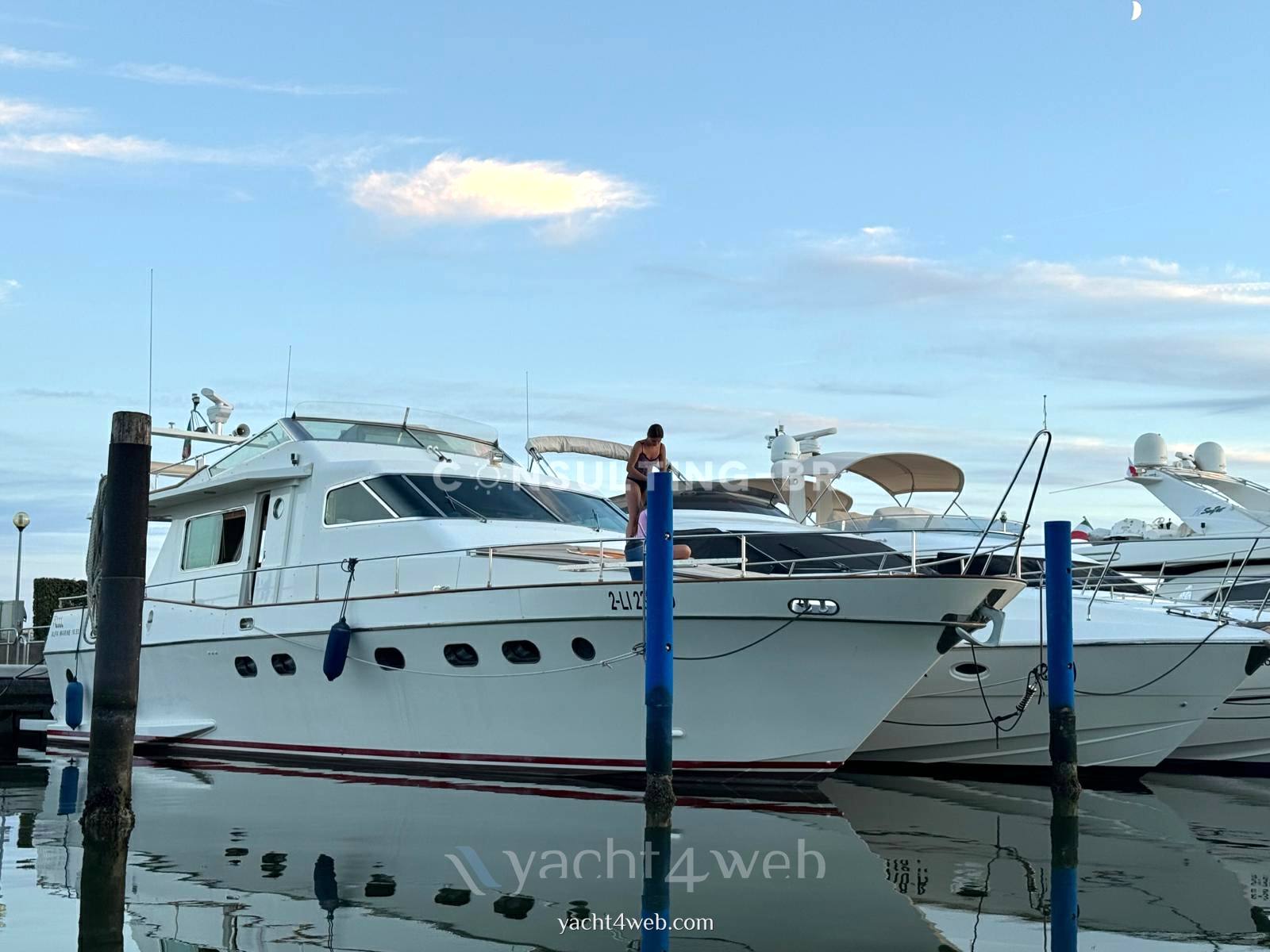 Alfamarine 16.50 fly