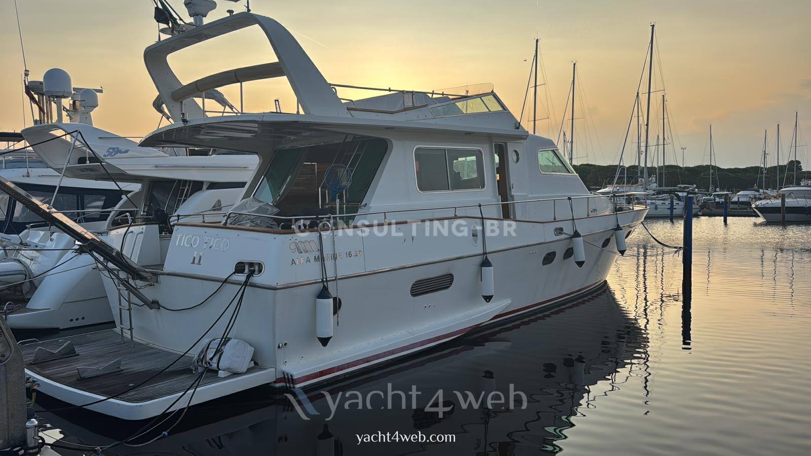 Alfamarine 16.50 fly 