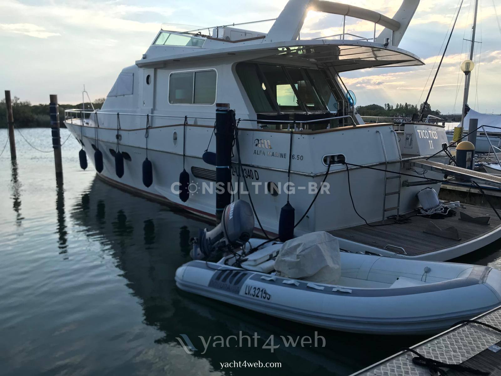 Alfamarine 16.50 fly 机动船 用于销售