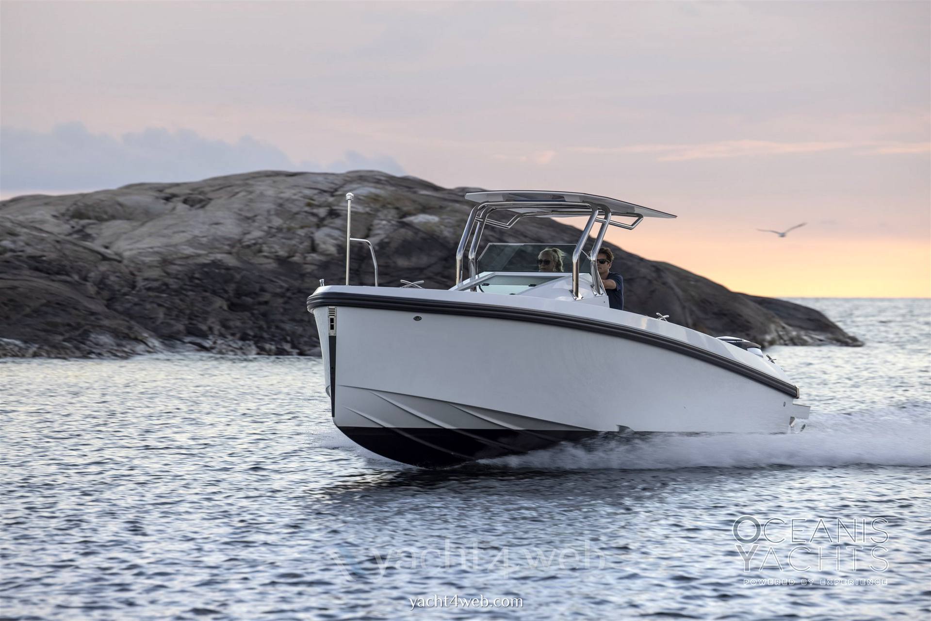 Delta powerboats T26 fotografia