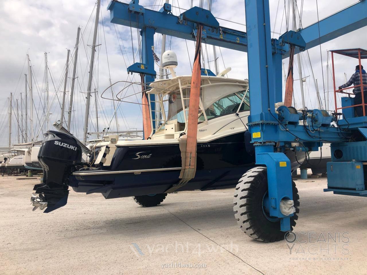 Scout boats 350 abaco verwendet