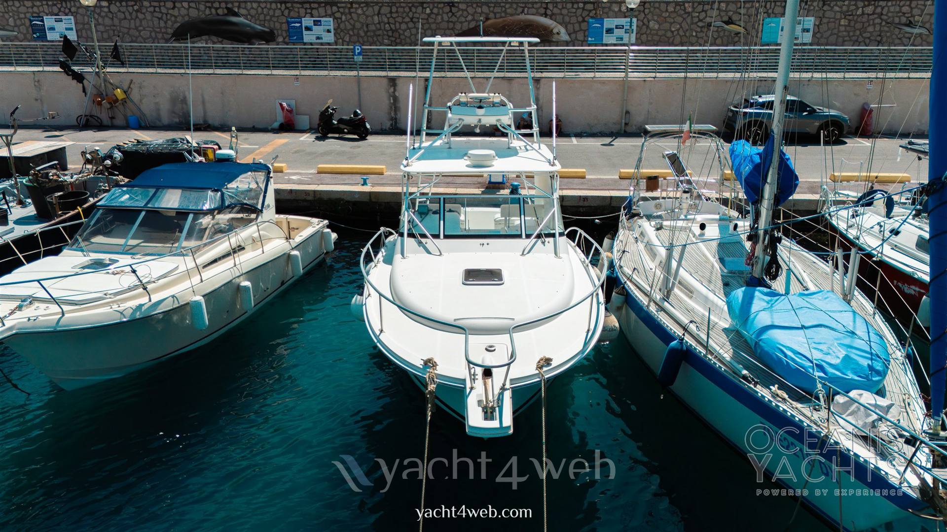 Luhrs 30 open