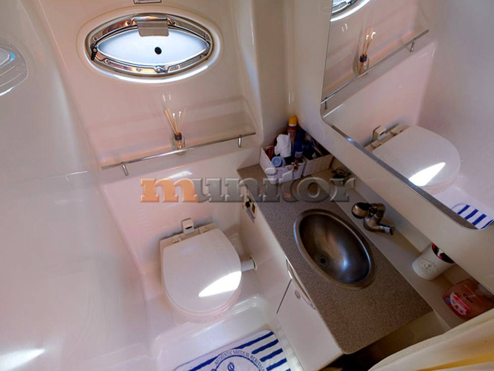 Sea ray 325 da