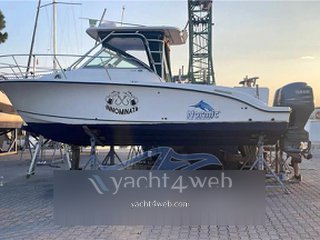 Ocean Yachts Saltwater Fishing for sale and for rent. Ads and offers