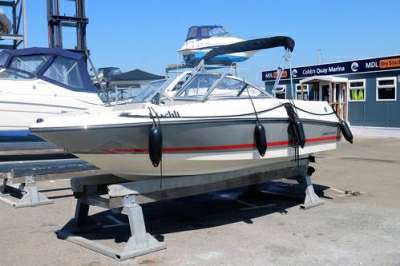 BAYLINER BAYLINER 175 gt3