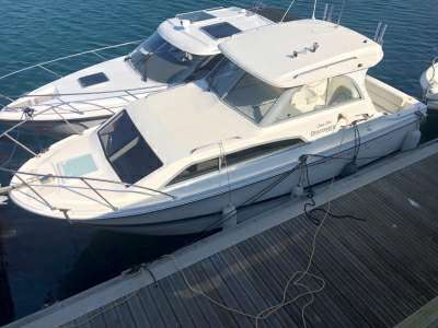 BAYLINER BAYLINER 246 discovery