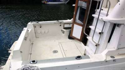 BAYLINER BAYLINER 2556 command bridge