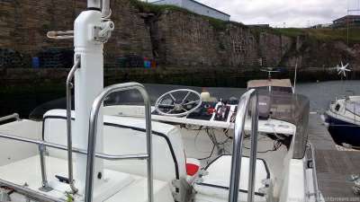 BAYLINER BAYLINER 2556 command bridge