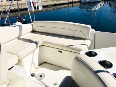 BAYLINER BAYLINER BAYLINER 255 SUNBRIDGE