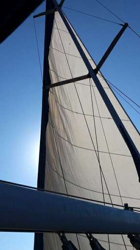 BENETEAU BENETEAU OCEANIS 411