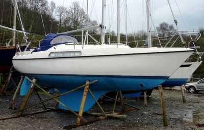 HALLBERG RASSY HALLBERG RASSY 26