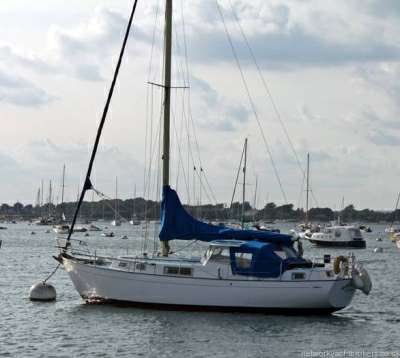 HALLBERG RASSY HALLBERG RASSY 35 rasmus