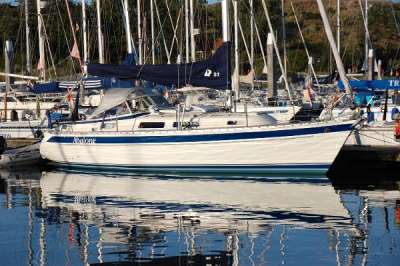 Hallberg rassy Hallberg rassy 31 scandinavia