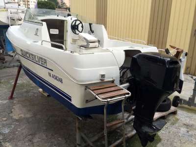 Quicksilver Quicksilver 460 cabine