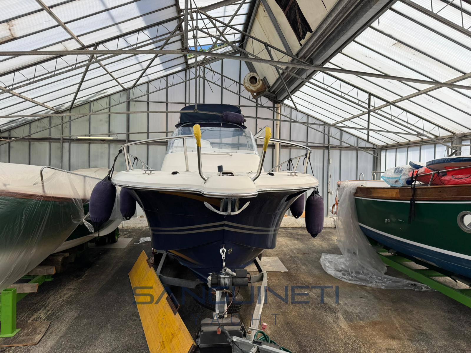 Kelt White shark 248