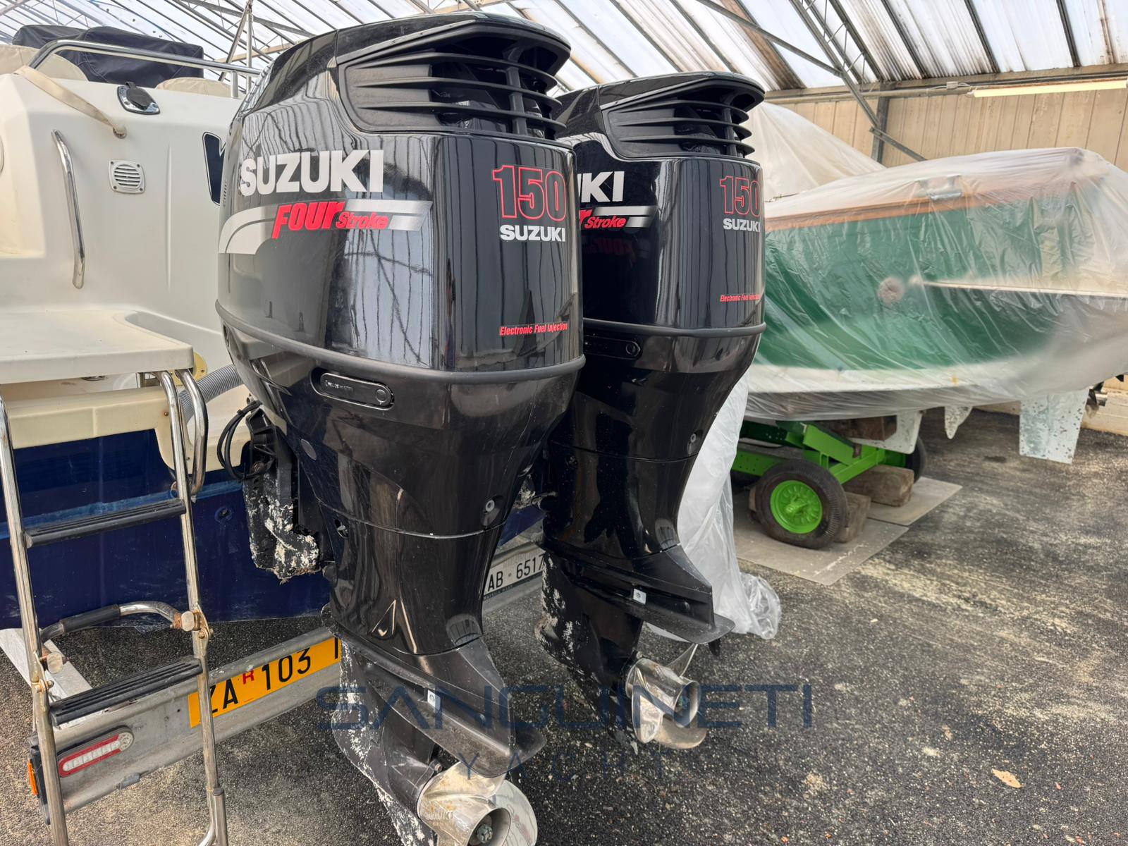 Kelt White shark 248