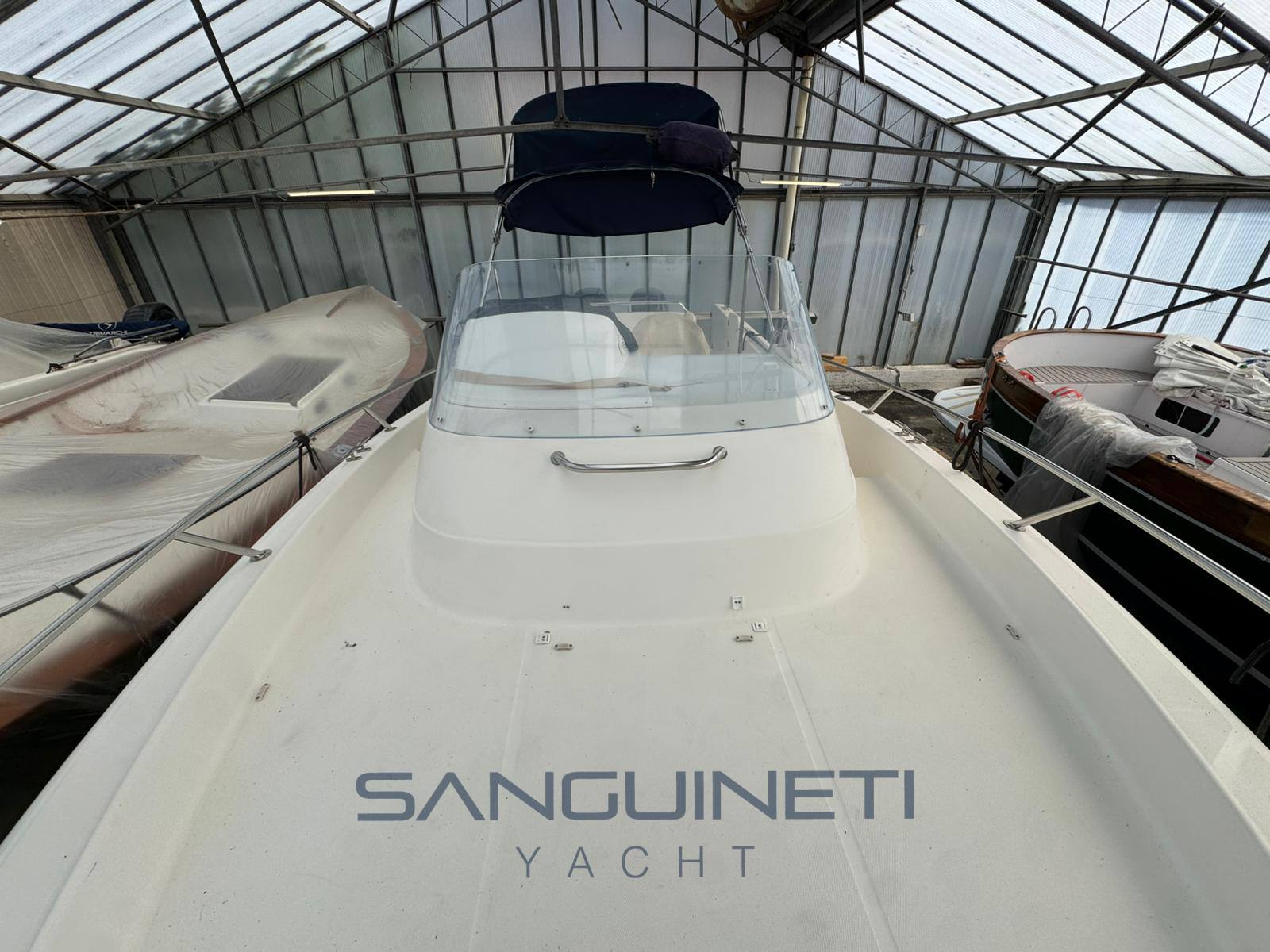 Kelt White shark 248