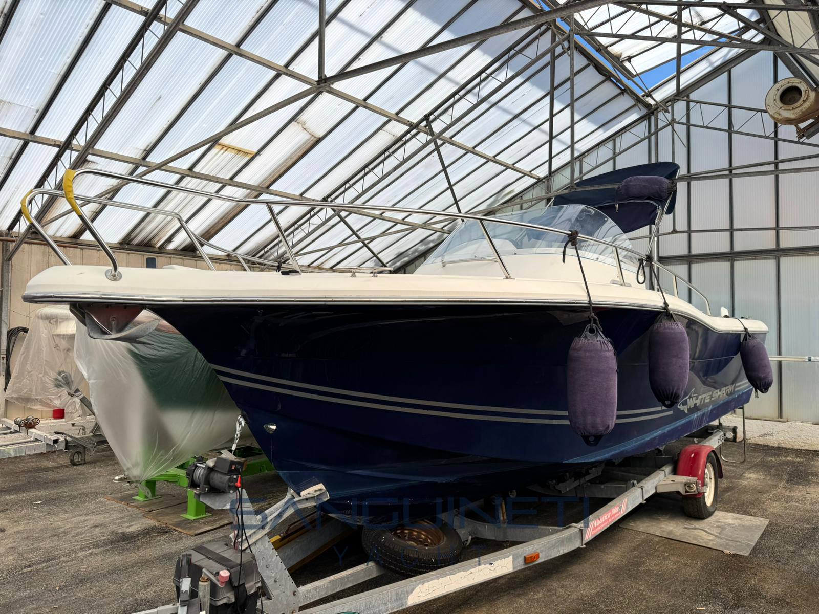 Kelt White shark 248