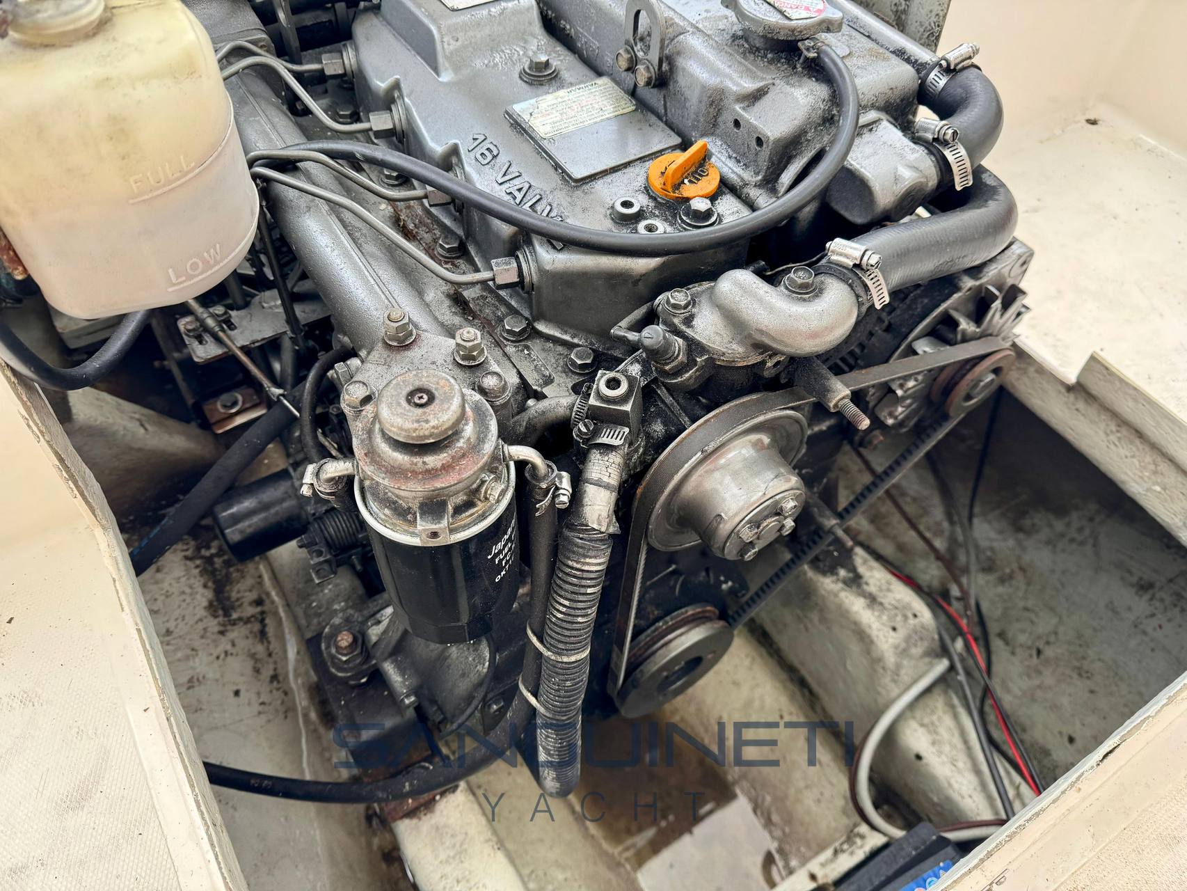 Sciallino 20