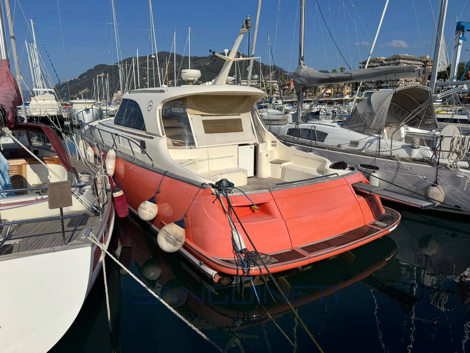 Mochi craft Dolphin 44