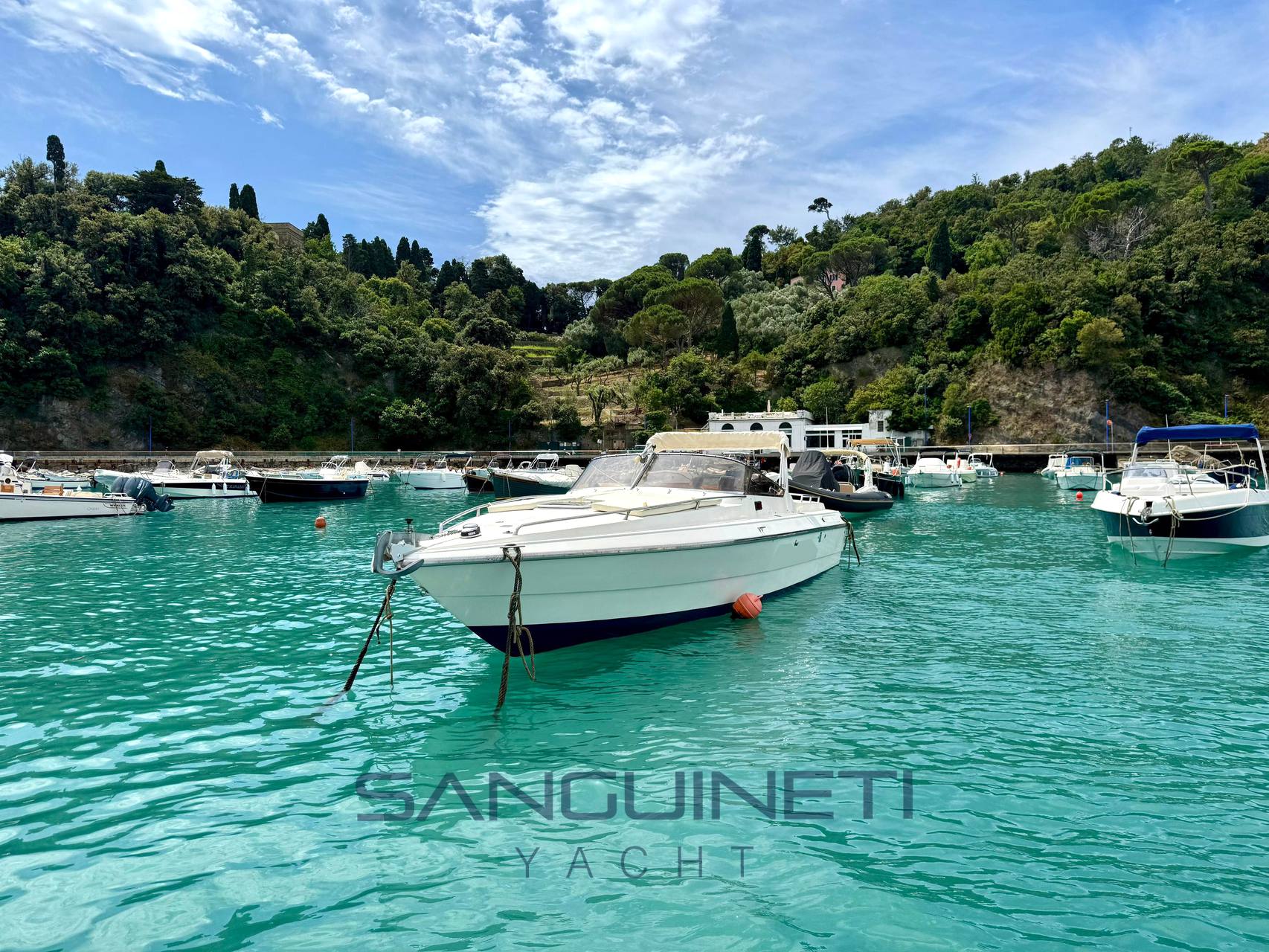 Molinari Falcon 29 