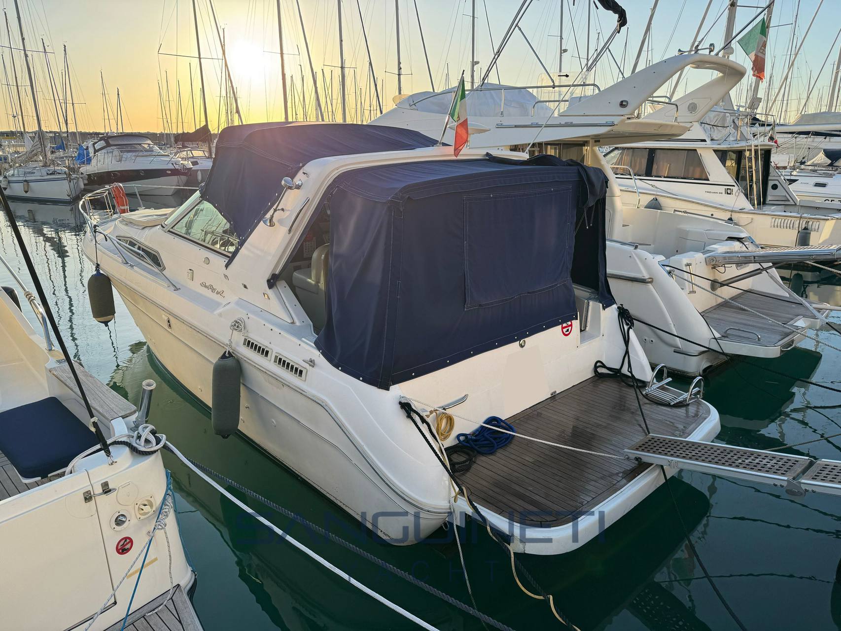 Sea ray 300