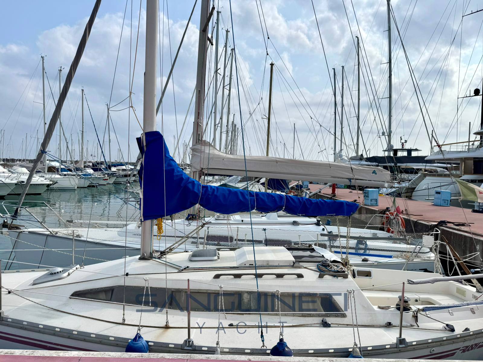 Jeanneau Rush 31 Vela