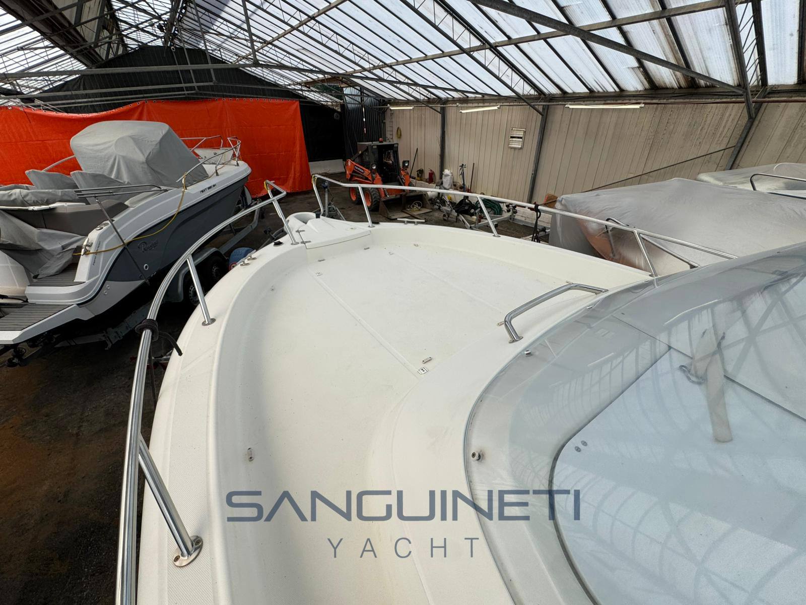 Kelt White shark 248 一天巡洋舰