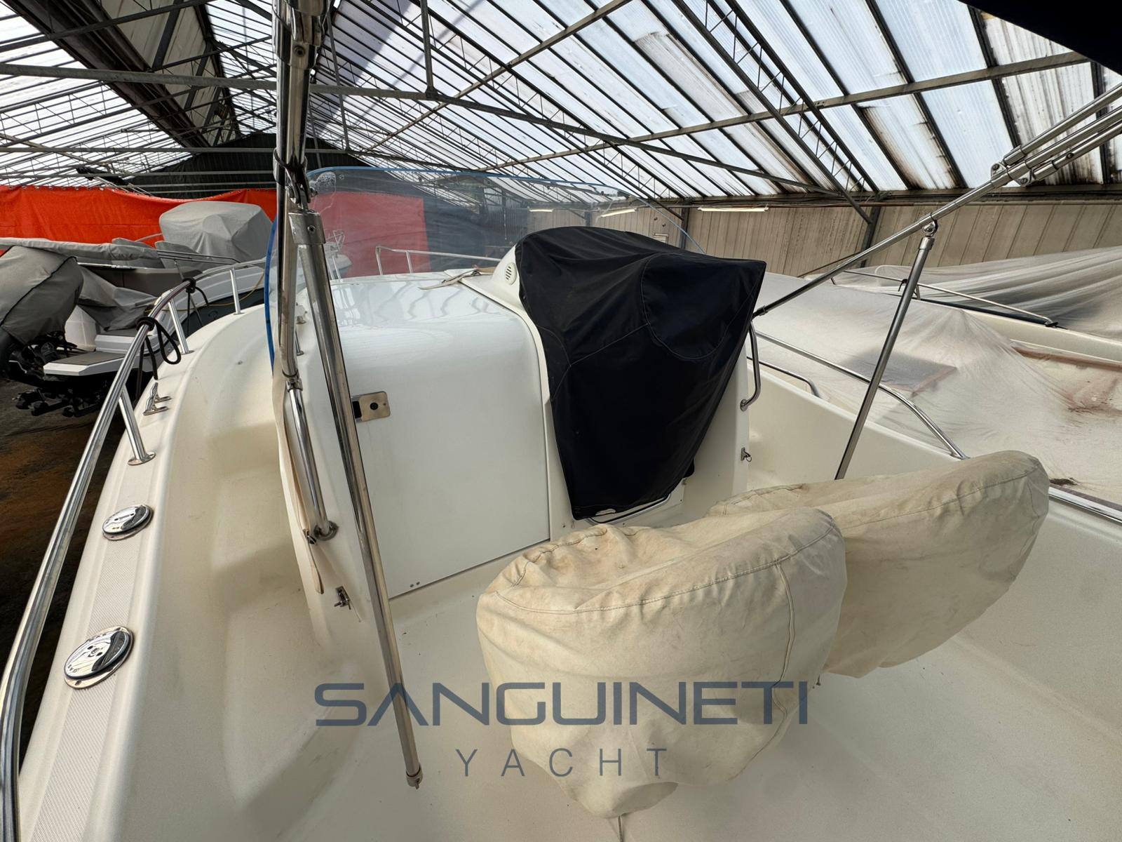 Kelt White shark 248 照片