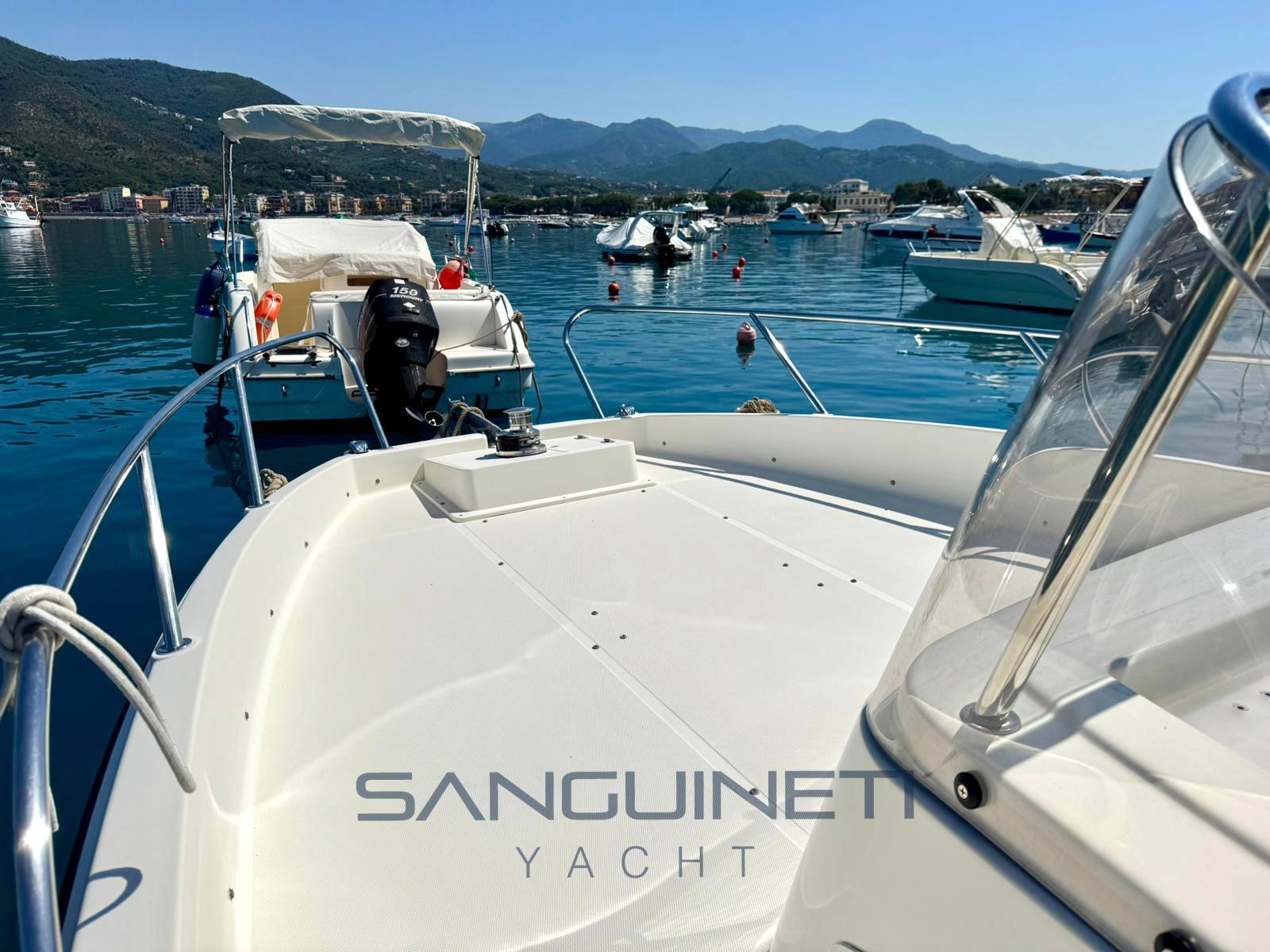 Quick silver Activ 675 sundeck Day cruiser