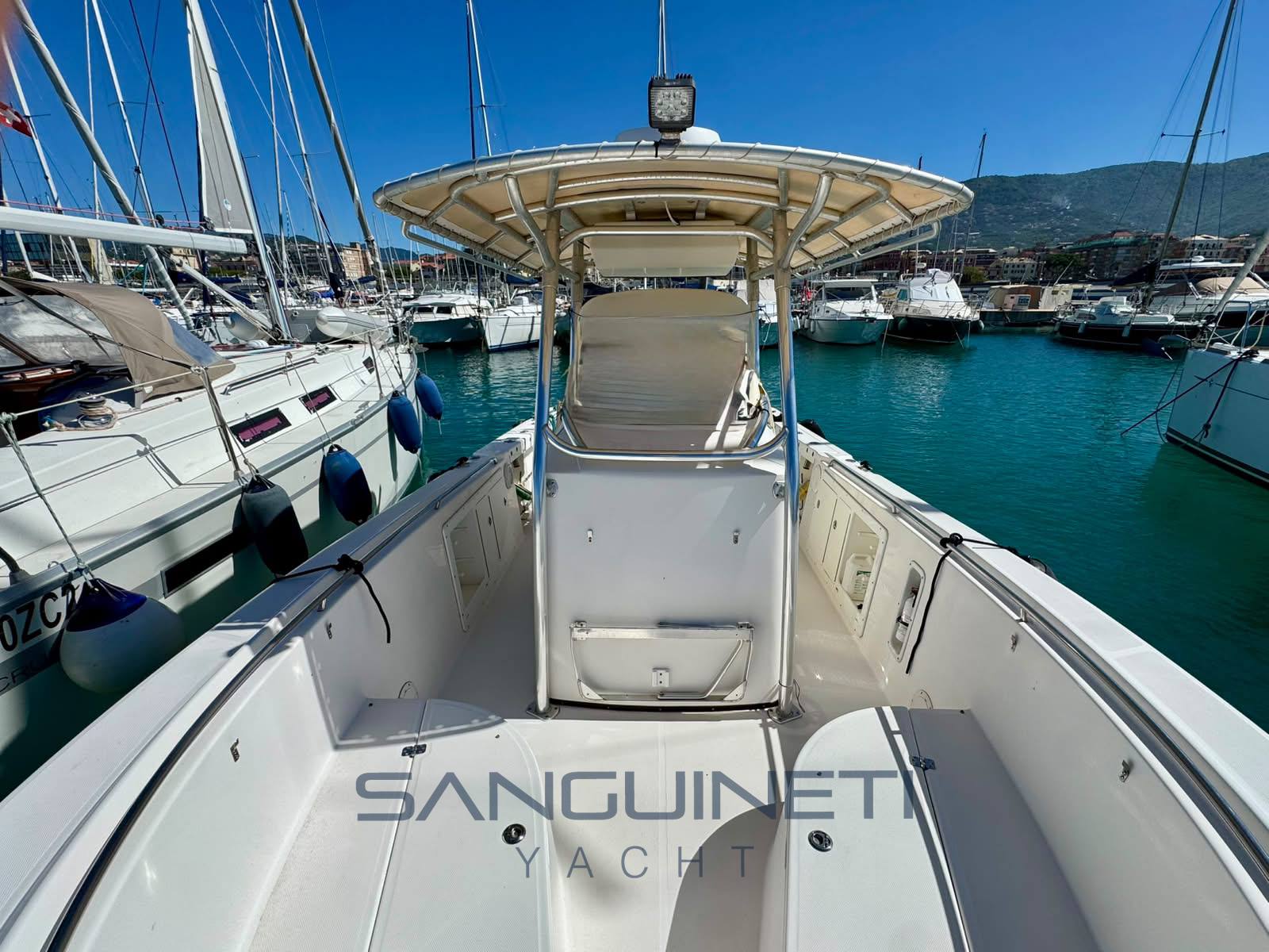 Edgewater 268 motor boat