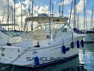 Luhrs 37 open