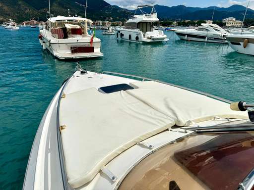 Primatist Primatist 29