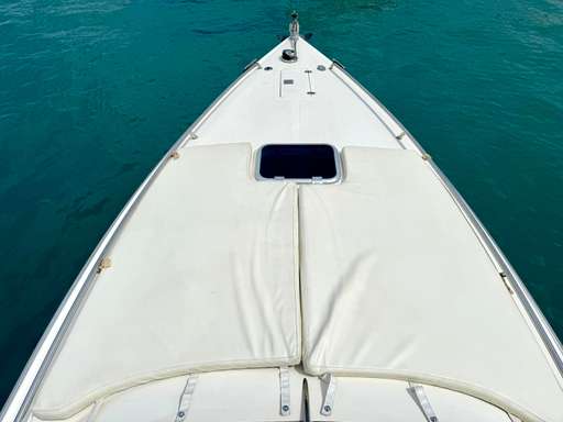 Primatist Primatist 29