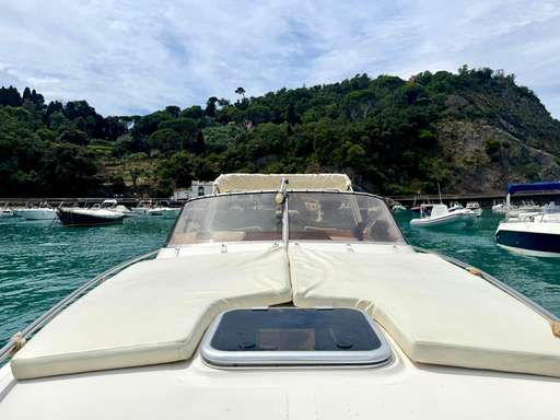 Primatist Primatist 29