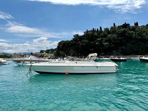 Primatist Primatist 29