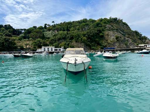 Primatist Primatist 29