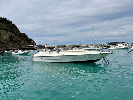 Primatist Primatist 29