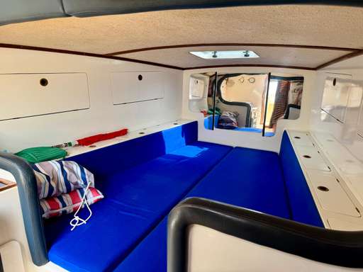 Primatist Primatist 29