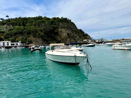 Primatist Primatist 29