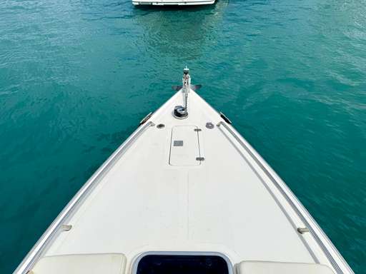 Primatist Primatist 29