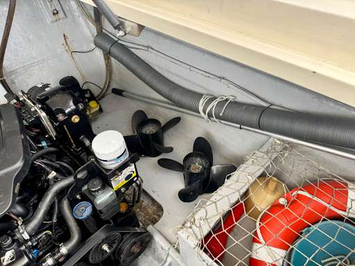 Primatist Primatist 29