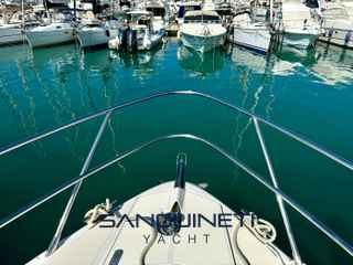 Absolute 40 - Photo 17