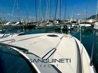 Absolute 40 - Photo 15